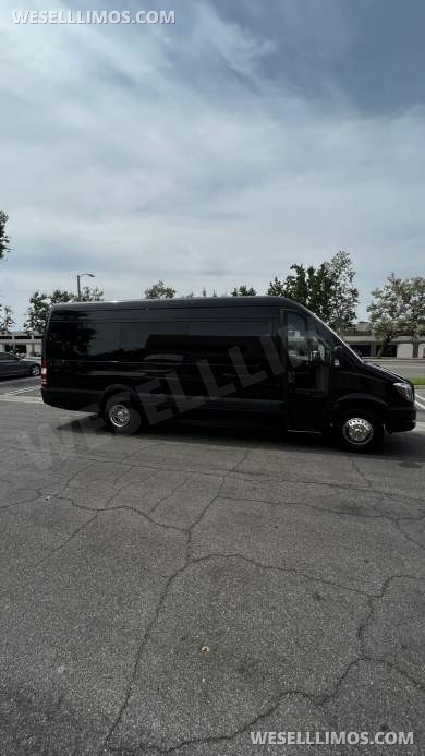 2014 McSweeney Mercedes-Benz Sprinter 3500 Sprinter
