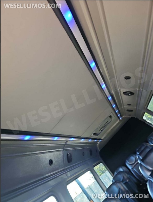 2014 McSweeney Mercedes-Benz Sprinter 3500 Sprinter