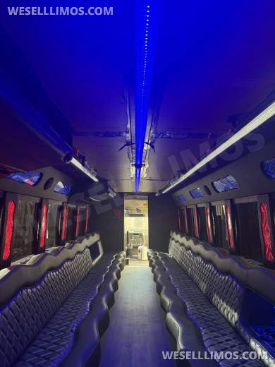 2016 Freightliner S2 Chassis Limo Bus for Sale in Orlando, Florida, US - Photo 3