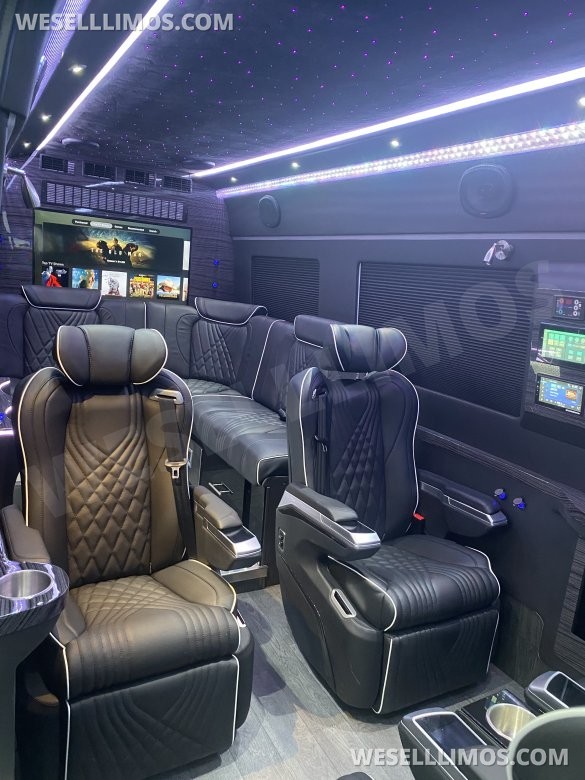 VIP Executive Mercedes Sprinter 2500