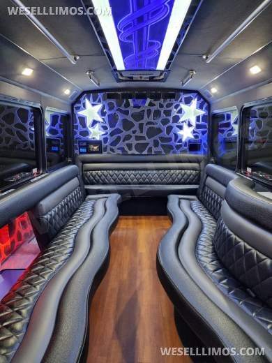 2013 LGE Ford E450 Limo Bus