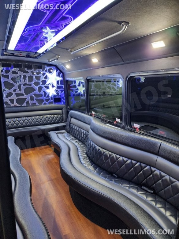 2013 LGE Ford E450 Limo Bus