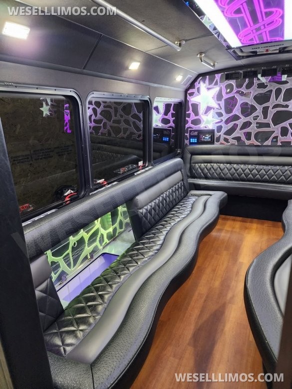 2013 LGE Ford E450 Limo Bus