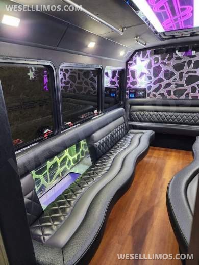 2013 LGE Ford E450 Limo Bus