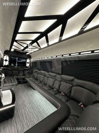 2025 14 passenger Limo Style Sprinter