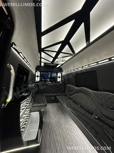 2025 14 passenger Limo Style Sprinter