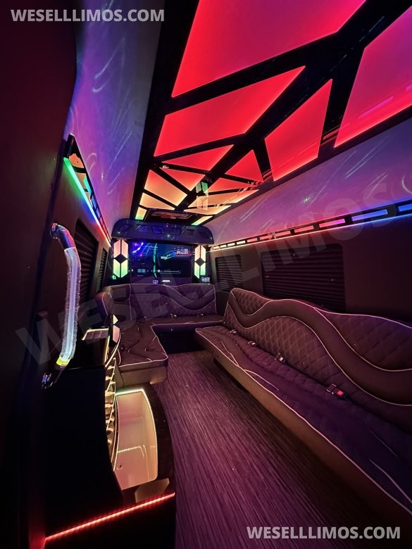 2025 14 passenger Limo Style Sprinter