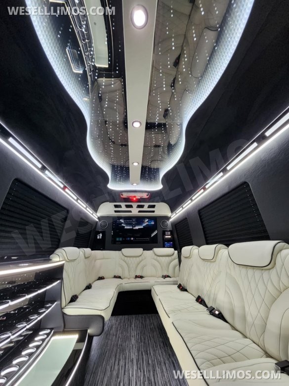 3D Starlight Ceiling Limousine style Sprinter
