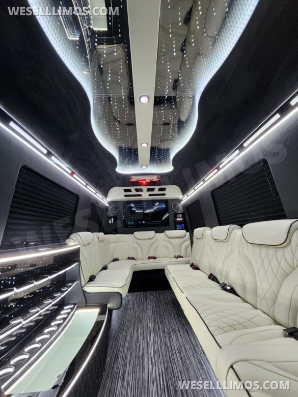 3D Starlight Ceiling Limousine style Sprinter