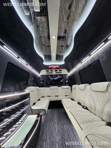 3D Starlight Ceiling Limousine style Sprinter