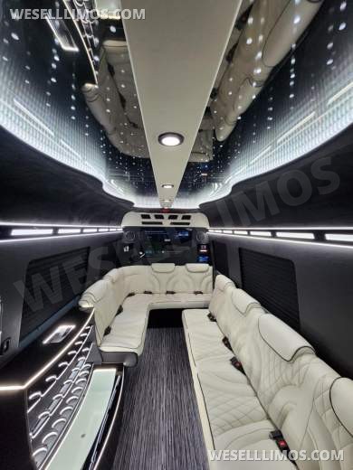 3D Starlight Ceiling Limousine style Sprinter
