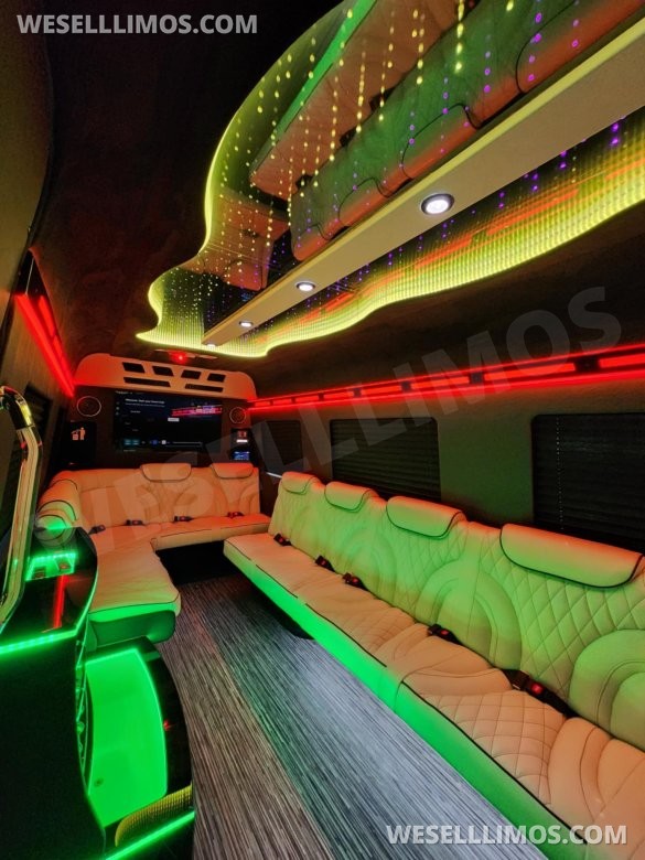 3D Starlight Ceiling Limousine style Sprinter