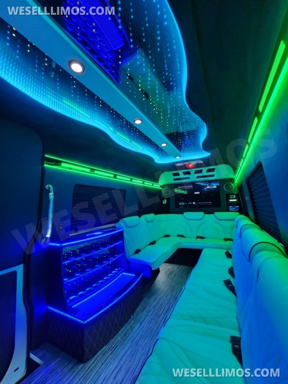 3D Starlight Ceiling Limousine style Sprinter