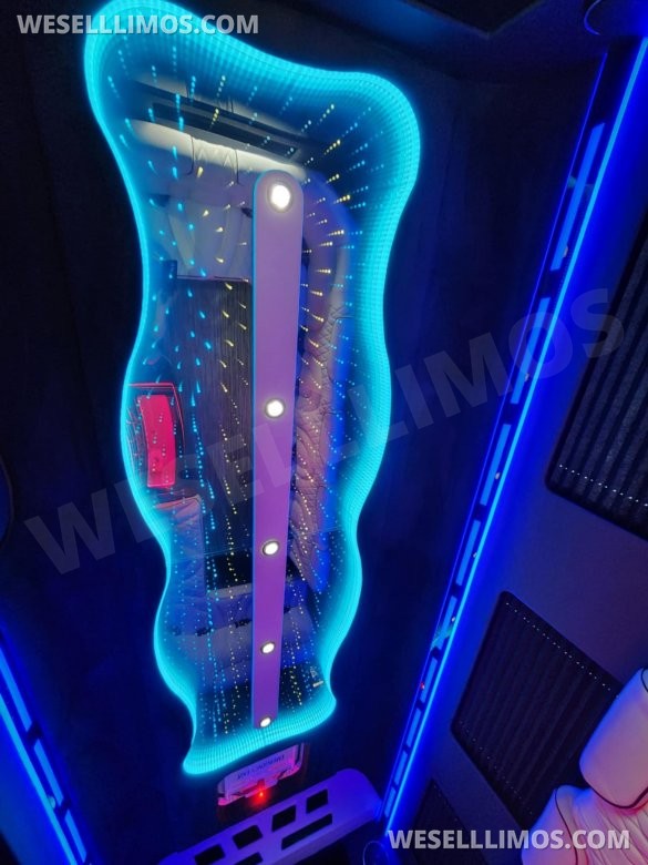 3D Starlight Ceiling Limousine style Sprinter