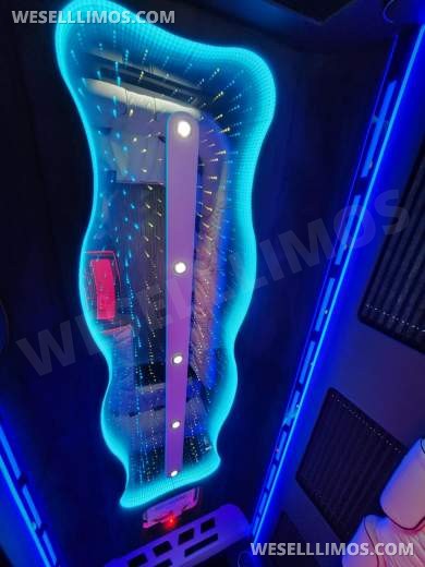3D Starlight Ceiling Limousine style Sprinter