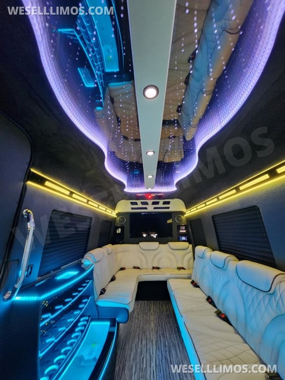 3D Starlight Ceiling Limousine style Sprinter