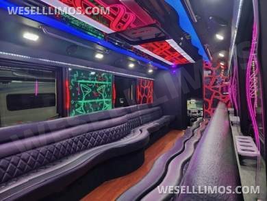 2015 LGE Ford F550 Limo Bus - Limo Bus for Sale in Delray Beach, FL - Photo 13