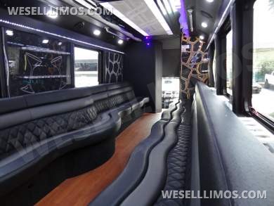 2015 LGE Ford F550 Limo Bus - Limo Bus for Sale in Delray Beach, FL - Photo 16