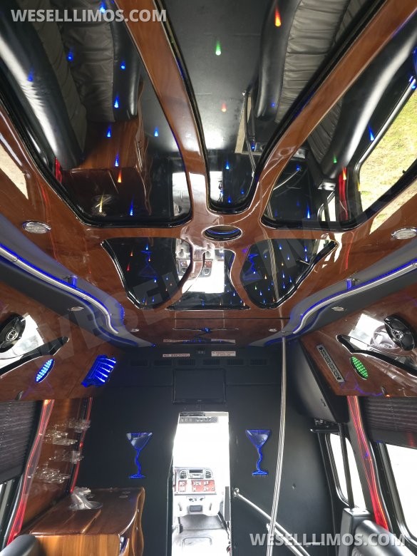 2011 Freightliner M2 Party Bus Limo Bus