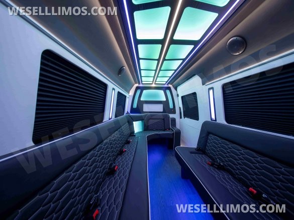 LGE Coachworks Mercedes-Benz Sprinter 13 Rear Passenger Limo Bus