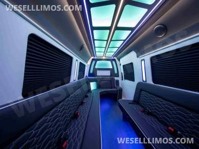 LGE Coachworks Mercedes-Benz Sprinter 13 Rear Passenger Limo Bus
