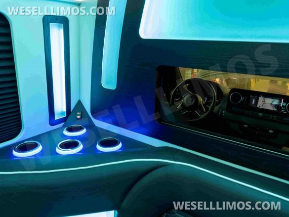 LGE Coachworks Mercedes-Benz Sprinter 13 Rear Passenger Limo Bus