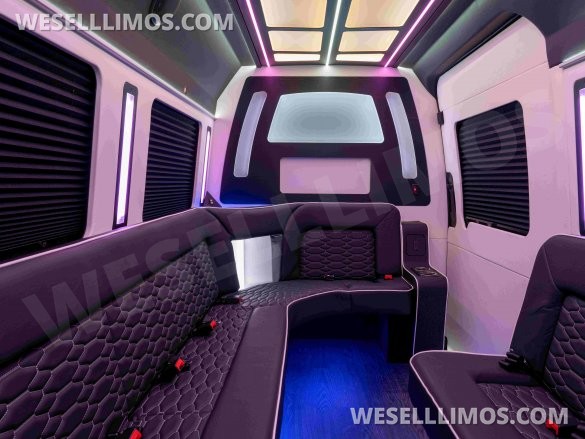 LGE Coachworks Mercedes-Benz Sprinter 13 Rear Passenger Limo Bus