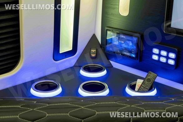 LGE Coachworks Mercedes-Benz Sprinter 13 Rear Passenger Limo Bus