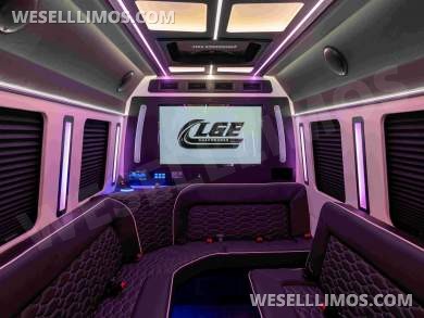 LGE Coachworks Mercedes-Benz Sprinter 13 Rear Passenger Limo Bus