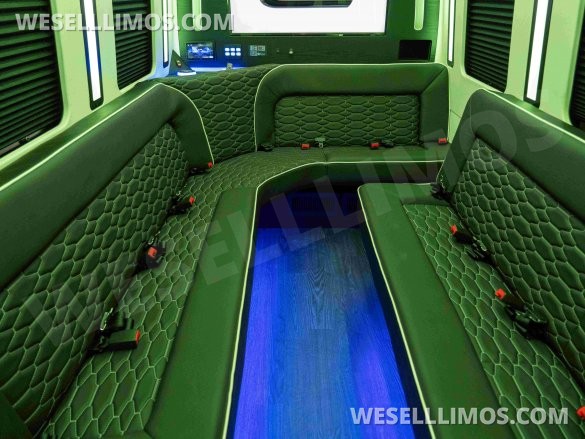 LGE Coachworks Mercedes-Benz Sprinter 13 Rear Passenger Limo Bus