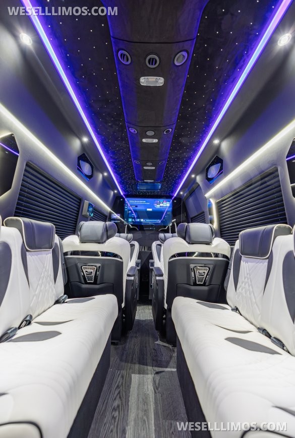 2025 Executive Custom Coach  Mercedes-Benz Sprinter 3500 Sprinter