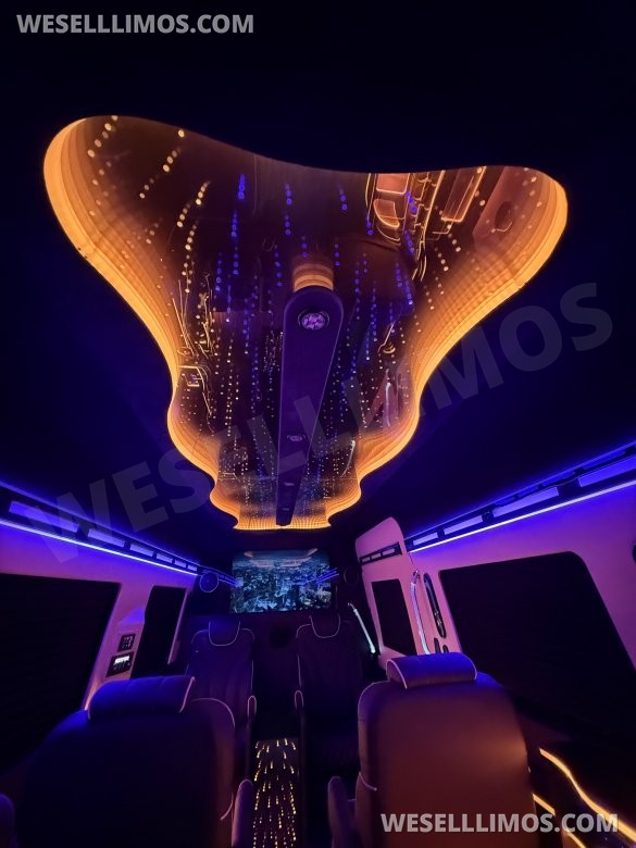2025 Mercedes-Benz Sprinter  VIP Style