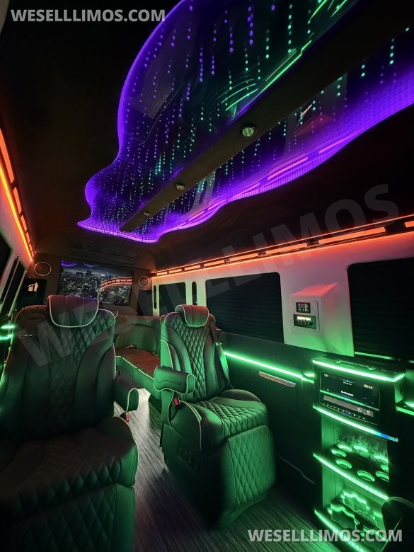 2025 Mercedes-Benz Sprinter  VIP Style