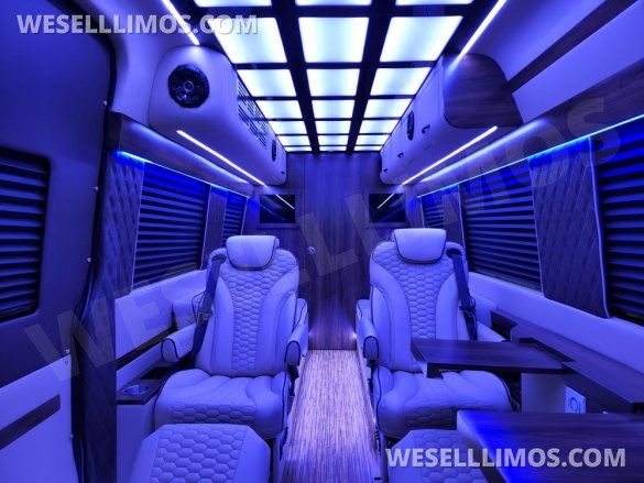 2020/22 Global Motor Coach Mercedes-Benz Sprinter 3500 CEO/VIP 14 Passenger Sprinter