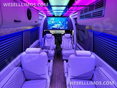 2020/22 Global Motor Coach Mercedes-Benz Sprinter 3500 CEO/VIP 14 Passenger Sprinter
