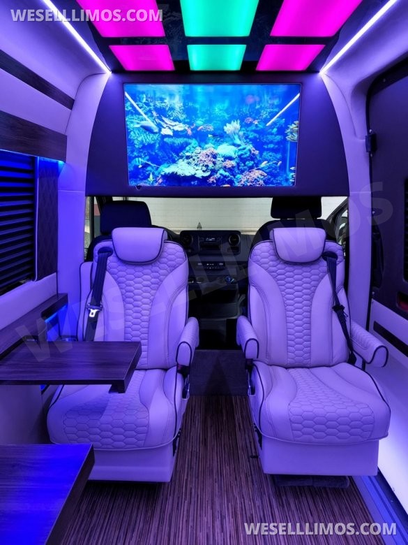 2020/22 Global Motor Coach Mercedes-Benz Sprinter 3500 CEO/VIP 14 Passenger Sprinter