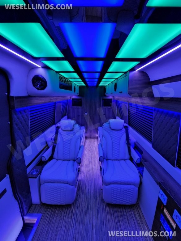 2020/22 Global Motor Coach Mercedes-Benz Sprinter 3500 CEO/VIP 14 Passenger Sprinter