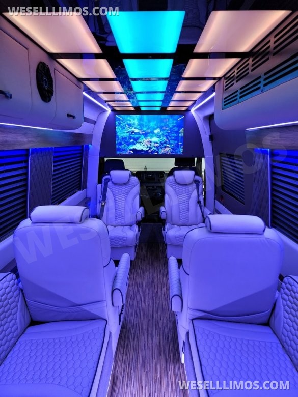 2020/22 Global Motor Coach Mercedes-Benz Sprinter 3500 CEO/VIP 14 Passenger Sprinter
