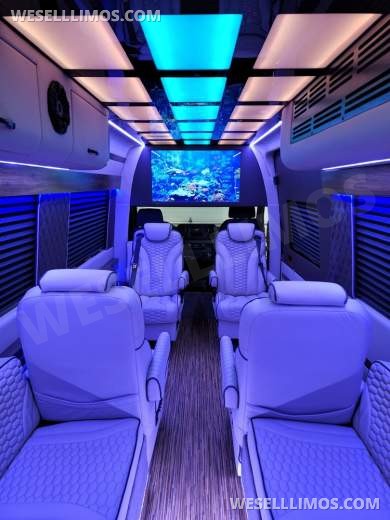 2020/22 Global Motor Coach Mercedes-Benz Sprinter 3500 CEO/VIP 14 Passenger Sprinter