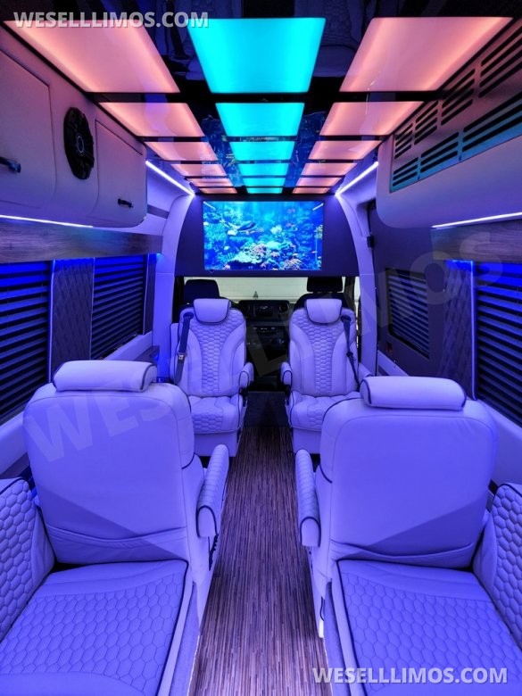 2020/22 Global Motor Coach Mercedes-Benz Sprinter 3500 CEO/VIP 14 Passenger Sprinter