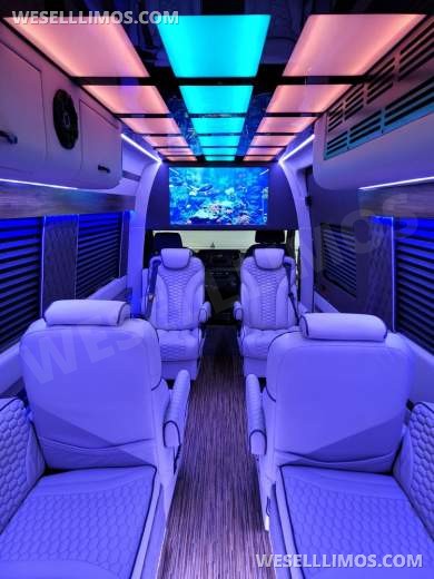 2020/22 Global Motor Coach Mercedes-Benz Sprinter 3500 CEO/VIP 14 Passenger Sprinter