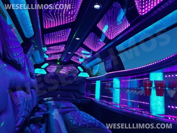 2023 Pinnacle Dodge Charger Limousine