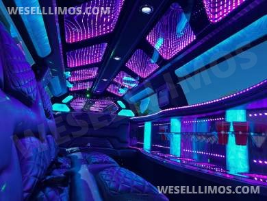 2023 Pinnacle Dodge Charger Limousine