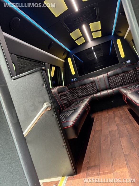 2018 Ford E-350 Limo Bus. Global motor coach