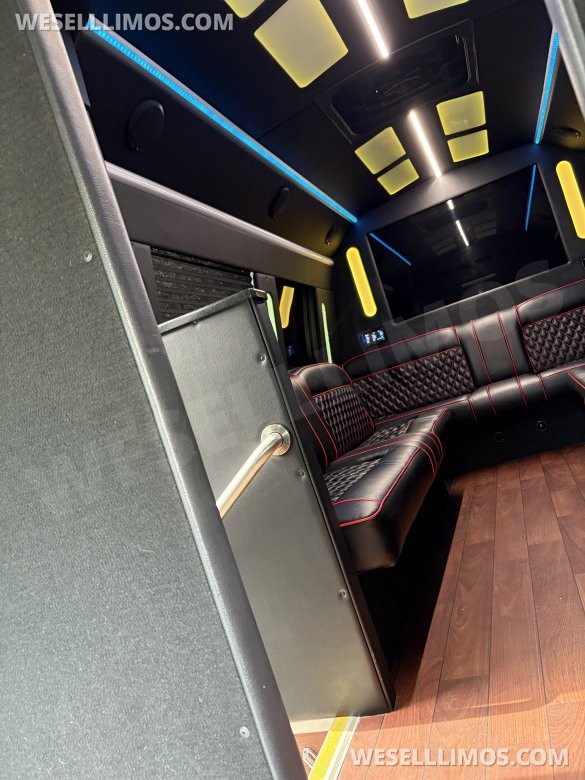 2018 Ford E-350 Limo Bus. Global motor coach