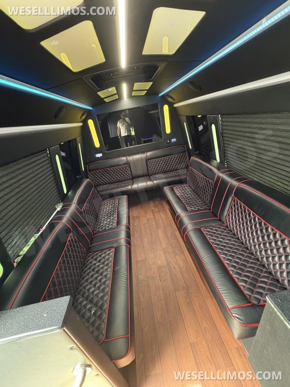 2018 Ford E-350 Limo Bus. Global motor coach