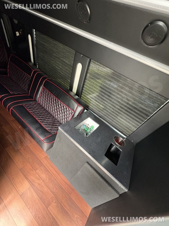 2018 Ford E-350 Limo Bus. Global motor coach