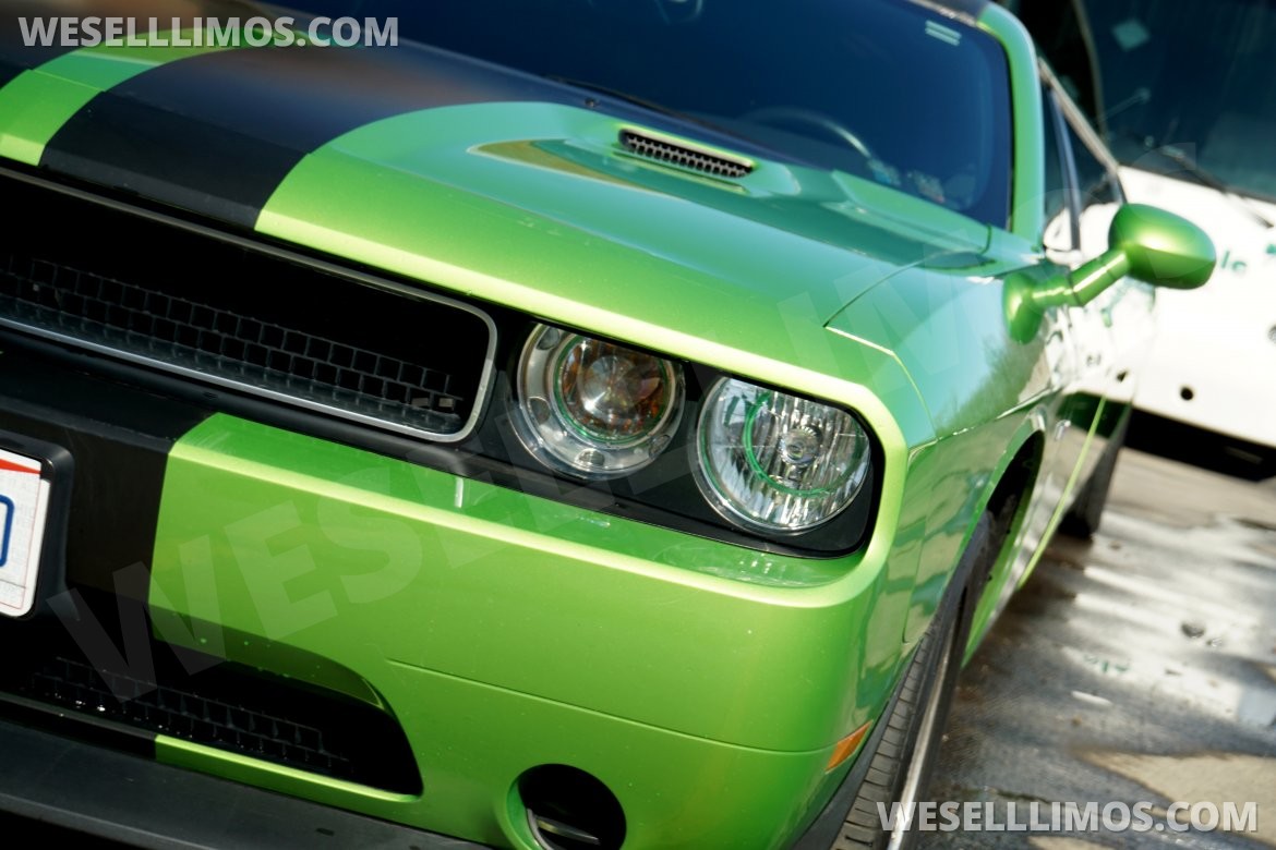 Limousine for sale: 2012 Dodge Challenger 160" by LA Custom Coach
