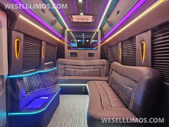 2023 Global Motor Coach Ford Transit Limo - Only 2,900 Miles