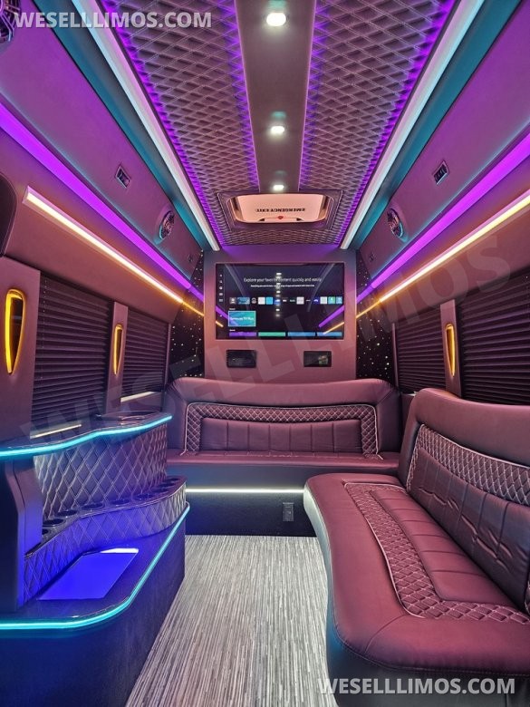 2023 Global Motor Coach Ford Transit Limo - Only 2,900 Miles